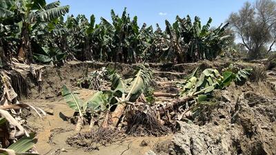 خسارت بیش از ۲ هزار میلیارد ریالی سیلاب و باران به کشاورزی قصرقند