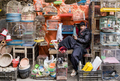 عکس/ بازار پرنده فروشان کابل