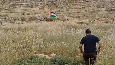 مجروح شدن یک شهرک‌نشین صهیونیست در تله پرچم فلسطین+ فیلم و عکس