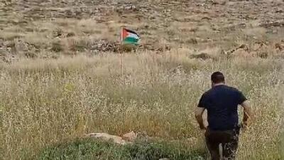 مجروح شدن یک شهرک‌نشین صهیونیست در تله پرچم فلسطین+ فیلم و تصاویر