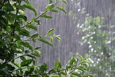 پیش بینی بارش های رگباری پراکنده در البرز/ دمای هوا کاهش می یابد