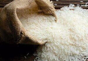 قیمت برنج ایرانی سقوط کرد