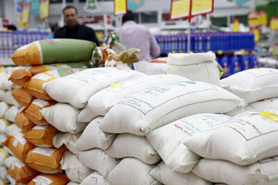 سقوط قیمت برنج ایرانی از ۱۵۰ هزار تومان به ۸۰ هزار تومان