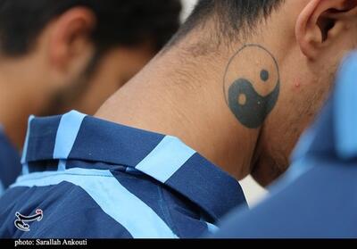 دستگیری متهم به 50 فقره سرقت شبانه در مشهد - تسنیم