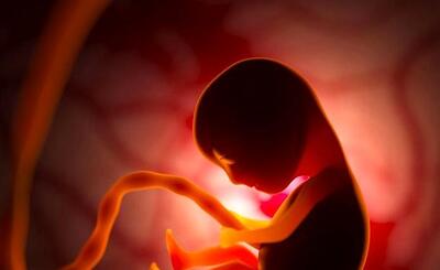 نحوه مشاهده کارکرد قلب جنین در دوران بارداری