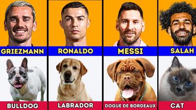 فوتبالیست های مشهور به چه حیوانی علاقه دارند ؟