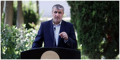 خبر مهم رئیس سازمان انرژی اتمی درباره امنیت مراکز هسته‌ای ایران