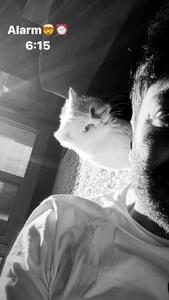 (ویدئو) بیدار کردن محمدرضا گلزار از خواب به شیوه گربه‌ی بامزه‌اش