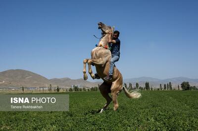 (تصاویر) زندگی روستایی در خراسان شمالی