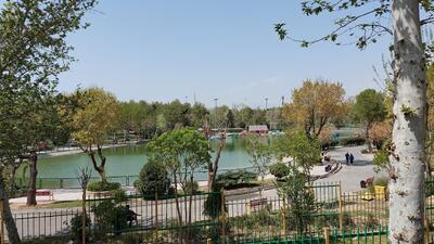 جریمه قطع درختان صرف ساخت ۲۰ بوستان جدید در تهران می شود