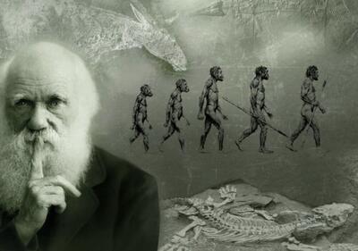نظریه داروین از نگاه شیخ محمدرضا نجفی اصفهانی