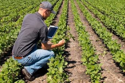 گام مردم در کشاورزی هوشمند/ راه میان‌بر مردمی‌سازی فناوری باز شد