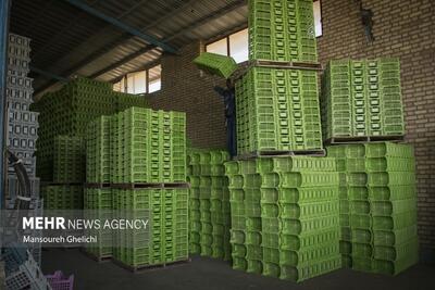 ۳۵ قلم کالا از مازندران به عراق صادر شد