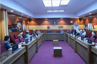 دومین نشست شورای راهبردی کمیسیون‌های کمیته ملی المپیک برگزار شد