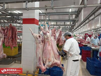 ۸۵ درصد نیاز کشور از گوشت تولید داخل تامین می‌شود
