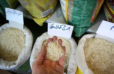 قیمت جدید انواع برنج ایرانی در بازار | اقتصاد24