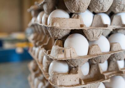 تغییر جانانه قیمت تخم‌مرغ در بازار میادین میوه و تره‌بار