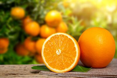 پرتقال: گنجینه‌ای از ویتامین‌ها برای مبارزه با سرماخوردگی!