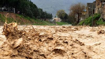 بارش شدید باران باعث جاری شدن سیلاب و روان آب در روستای صالح اباد نطنز شد