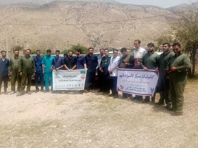 رزمایش واکسیناسیون ۲۵۰ هزار راس دام در استان فارس برگزار شد