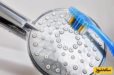 3 ترفند کاربردی برای رسوب‌زدایی و نو شدن دوش حمام