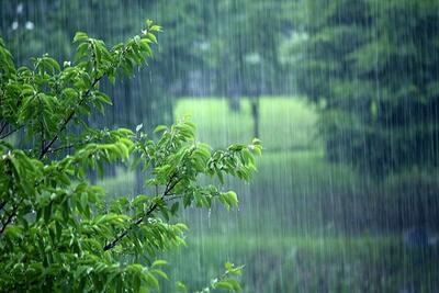 وقوع بارش‌ در بیشتر مناطق به‌ویژه مرکز و شمال کشور| حوضه آبریز قره قوم کم باران‌ترین