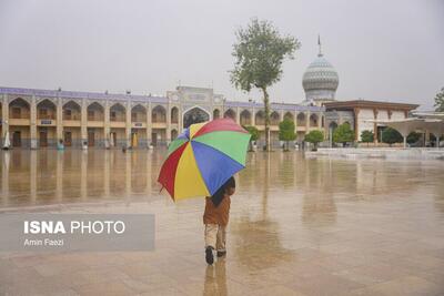 (تصاویر) بارش باران و آبگرفتگی معابر در شیراز