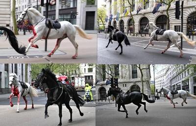 صحنه ای وهمناک در انگلیس؛ اسب های خونین در خیابان های لندن | عکس