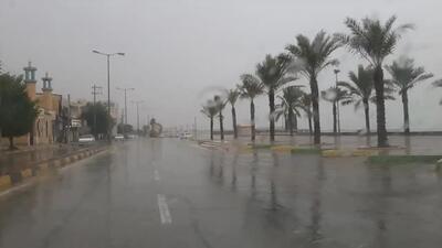 پیش‌بینی بارش پراکنده باران برای بوشهر