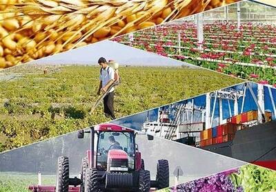 تکمیل واحدهای نیمه تمام صنایع تبدیلی و غذایی اولویت اصلی وزارت جهاد کشاورزی