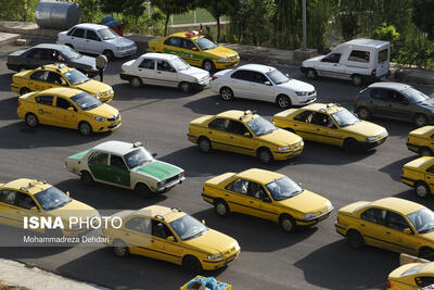 هنوز نرخ کرایه تاکسی کورسی ۶۰۰۰ تومان در شیراز قابلیت اجرایی ندارد