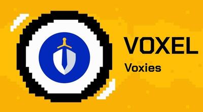 ووکسیز آماده ایجاد تحول در دنیای گیم‌فای! منتظر رشد بیشتر توکن VOXEL باشیم؟
