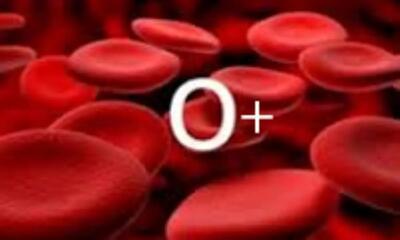 برای گروه خونی O چه غذاهایی مفید و چه غذاهایی مضر هستند؟