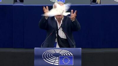رها کردن یک کبوتر در پارلمان اروپا جنجالی شد