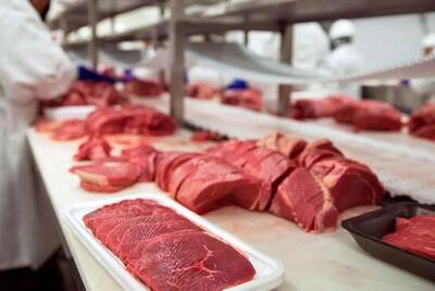 واردات گوشت از دو کشور عجیب به ایران