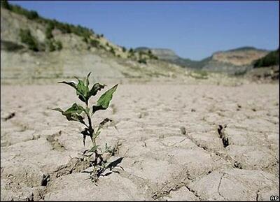 کدام مناطق ایران در معرض خشکسالی شدید هستند؟ | اقتصاد24