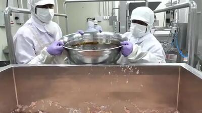 (ویدئو) نمایی نزدیک از فرآیند تولید و بسته بندی میلیون ها همبرگر مرغ در کارخانه