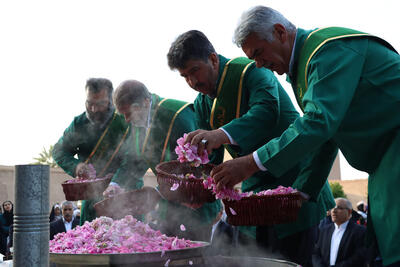 استقبال پرشور یزدی‌ها از آیین احیای سنت گلاب‌گیری باغ جهانی دولت‌آباد