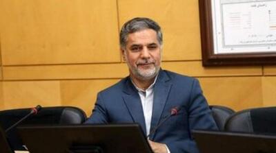 نقوی حسینی: پایداری ها از اصطلاح «پشم» خیلی ناراحت شدند - مردم سالاری آنلاین
