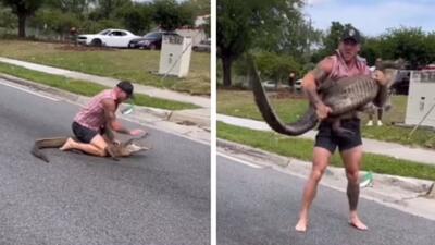 لحظه گرفتن یک تمساح 2.5 متری توسط مردی با دست های خالی در فلوریدا + ویدیو