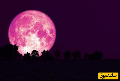 تصاویر خیره کننده از پدیده عجیب جهانی دیشب/ شبی که ماه صورتی شد!