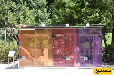 طراحی عجیب سرویس بهداشتی عمومی با دیوارهای شیشه ای شفاف در وسط پارک/ کار طراحی داره به جاهای باریک کشیده میشه +فیلم