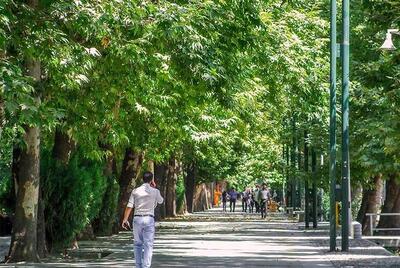 عکس | بنر عجیب زاکانی در مقابل پارک قیطریه