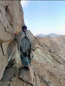 عکس/ شکار یک پلنگ ایرانی | اقتصاد24