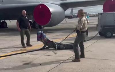 ببینید / تصاویری از زنده‌گیری یک تمساح در پایگاه هوایی آمریکا