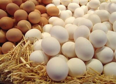 تخم مرغ همچنان کمتر از قیمت مصوب به فروش می‌رسد