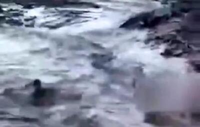 لحظه نجات یک کودک از رودخانه در سیل پشترود بم+ فیلم