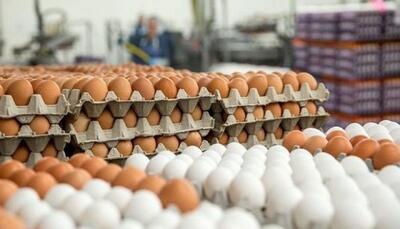 قیمت تخم مرغ امروز 7 اردیبهشت اعلام شد
