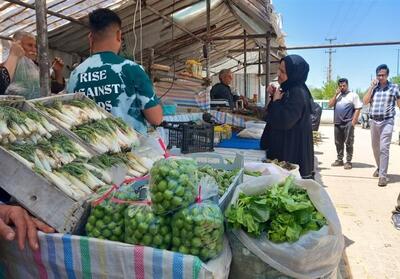 بازار داغ گیاهان دارویی در کرمانشاه+ تصویر - تسنیم