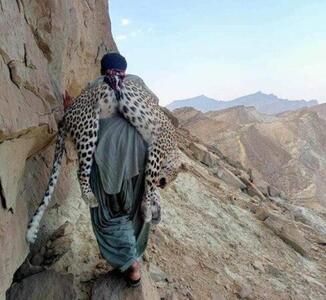 شکار یک پلنگ ایرانی توسط یک تبعه پاکستان (+عکس)